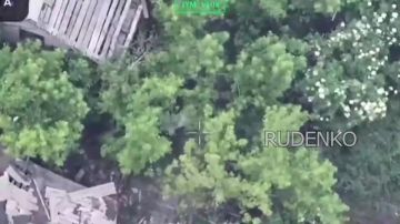 ������ �������: ������������ ����� ����������� ����� ���������� �������� ������ ����� �� ������� ���������� ���� ��� � ���������-���������, ������� �������� ������������ ��������������� ���������� ��������� ��������������