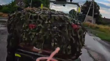 ��� ������: �����������-����������� �����������