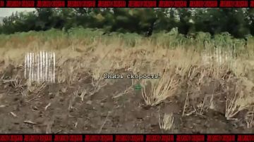 ���������� �� ������������� �����������