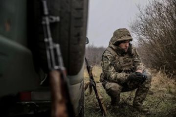 Окружили Красный Лиман: боевики бегут от зачистки, Славянск на очереди