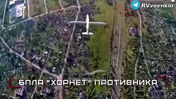 ������ �����: ����� ������� ���������� ������ � ������� ����� � ���� �� ��������������� � �� ����������������