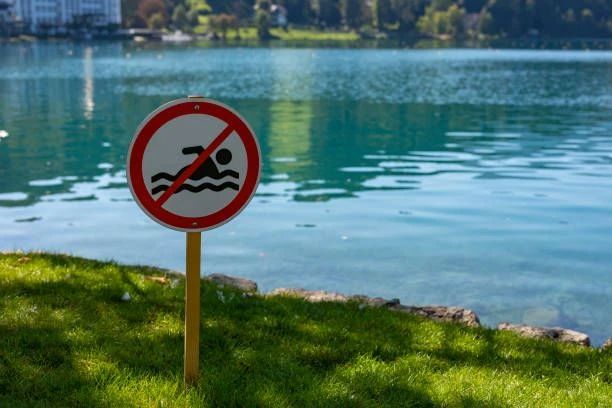 Анализ причин и обстоятельств, приводящих к трагедиям на воде, показывает, что в основном несчастные случаи с людьми происходят из-за нарушения правил безопасности при купании, то есть купании в нетрезвом виде, в...