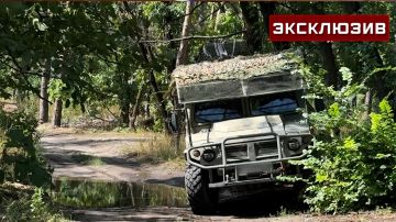 ��������� ������ Zvezdanews ������ ��� ����� �����-������ ������ ����