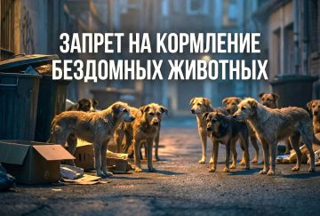 ��������� ����� - �����, ������������ �������