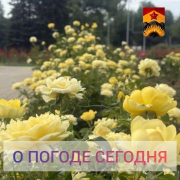 ������������� ������� � ������ � ���������� ������