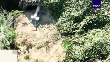 �� �� ���������� "�����", �������� ����������������� �������� � ����� ���������� �������������� ��� � ���, �������� � �� ��