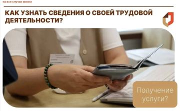 Как узнать сведения о своей трудовой деятельности?