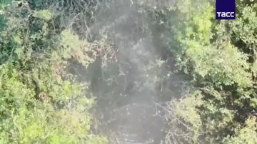 ����� ����� ����������� ���������� ���������� ������ � ��� ���� � ���