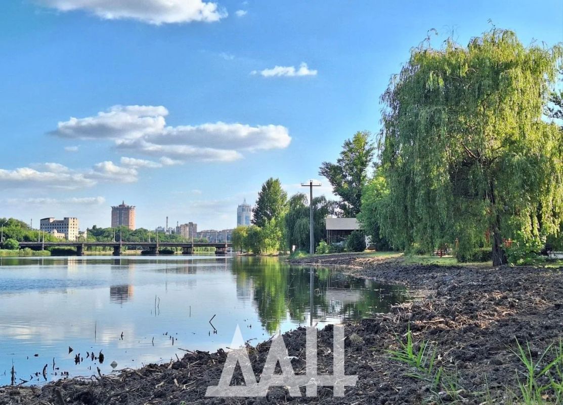 Берега Кальмиусского водохранилища начали чистить от поросли