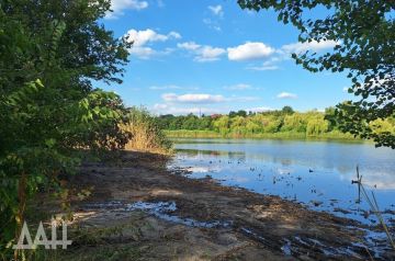 Фото: Берега Кальмиусского водохранилища чистят от поросли