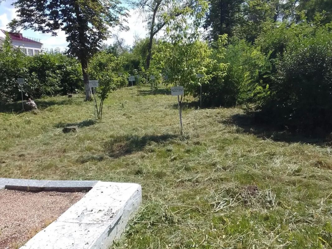 Работы по благоустройству Шахтерского округа продолжаются