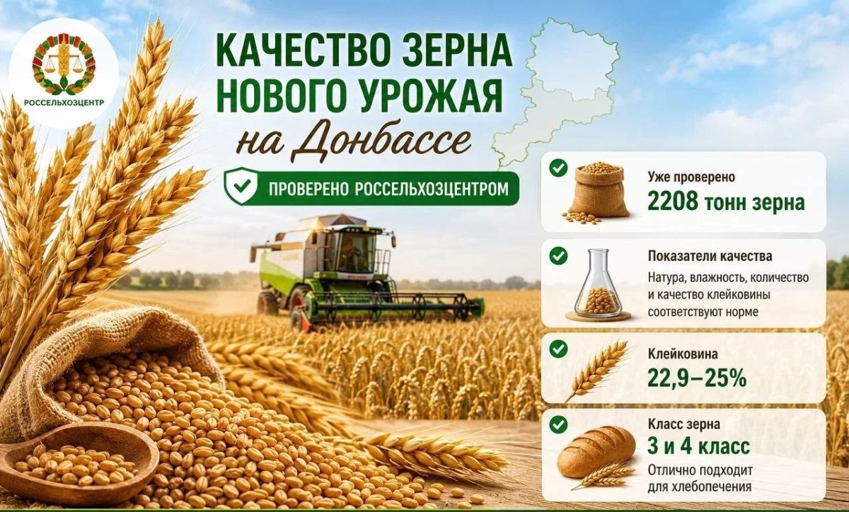 В Россельхозцентре оценили качество зерна нового урожая на Донбассе