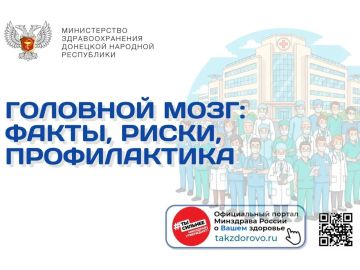 Головной мозг: факты, риски, профилактика