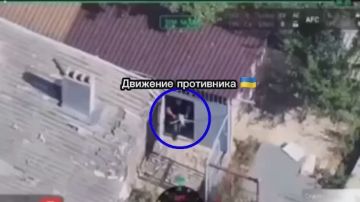 Александр Коц: Артиллерия и дроны выбивают ПУ БпЛА в Алексеево-Дружковке
