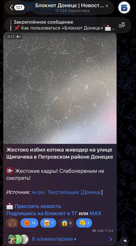 Видео с котиком оказалось вбросом