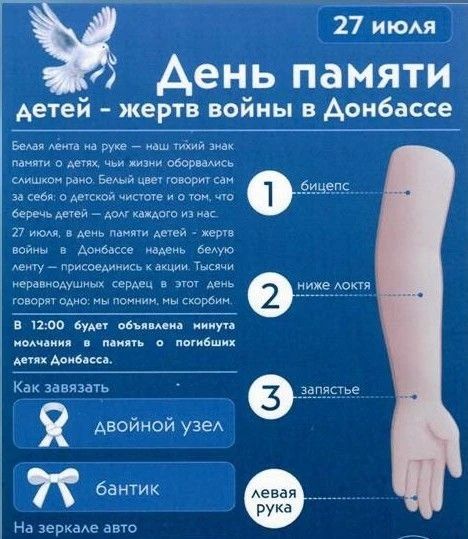 27 июля 2026 года в Донецкой Народной Республике пройдёт акция «Белые ленты», приуроченная ко дню памяти детей – жертв войны в Донбассе