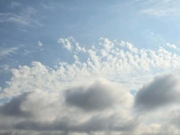 22 ���� � �������:. ���������� ����������, ��� ������������ �������