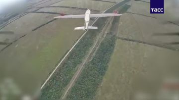 ����� ������ ������ �������� ����������� ������ ���������� �������� ����������� ����� "�����" � ���� ������������ ��������� � ���