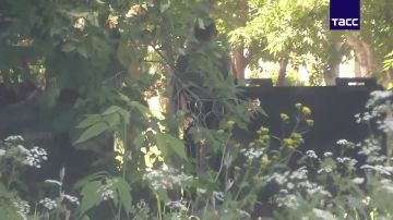 ��� ��������� �� ���������� � ��������� ����� ������� ���, �������������� �� ������������ �������