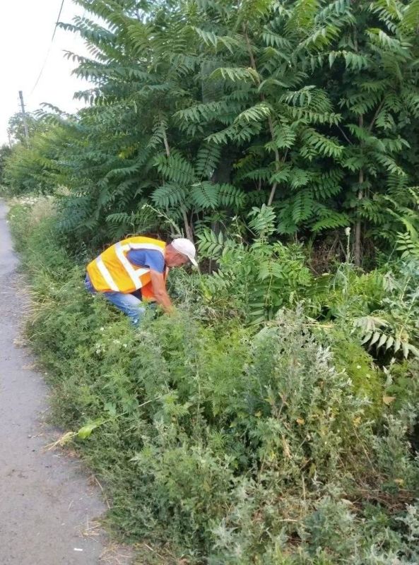 Работа МБУ БИОН. Силами МБУ БИОН в городском округе Иловайск выполнены работы по уборке "опасных зон" на дорогах