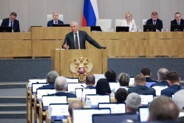 Артём Туров: Состоялся отчет Комитета Госдумы по делам СНГ, евразийской интеграции и связям с соотечественниками