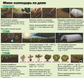 Август открывает окно возможностей для новых посадок