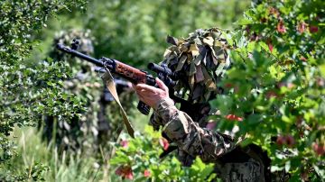 Освобождение Захаровки и Ивашкино: ВС РФ расширяют зону контроля