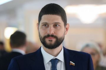 Сенатор Волошин: В Евросоюзе начинает формироваться коалиция «средних держав»