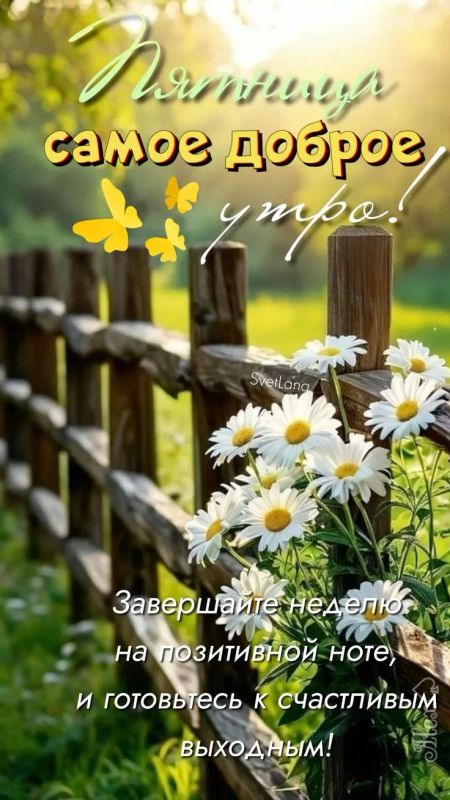 #доброе_утро