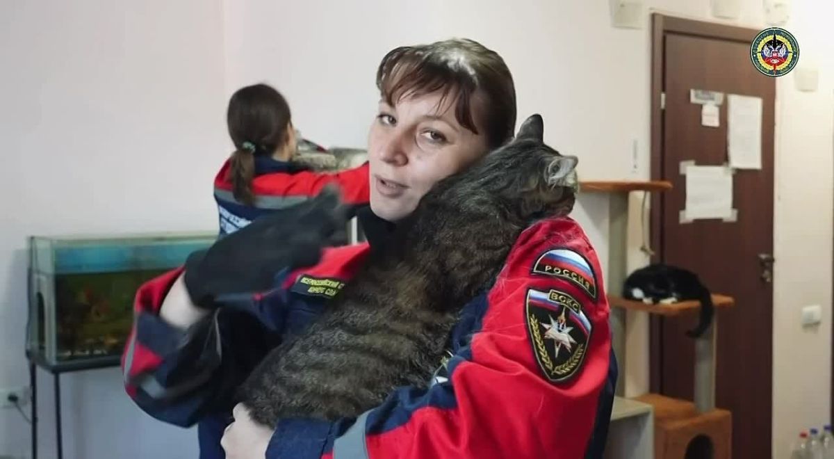 Я здесь нашла свою маленькую любовь…