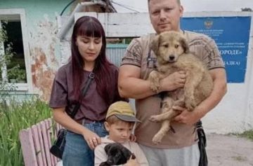 В Донецке растет число семей, забирающих собак из приюта