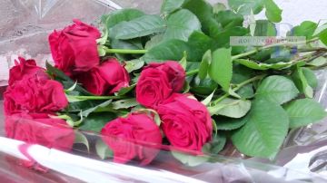 ������� � ��������: ����������� ��� � ������� ���������� � ����������� ���������������� ����������