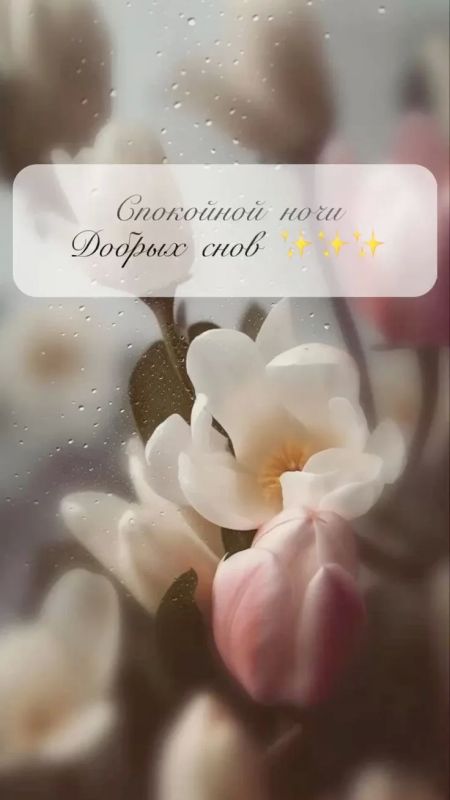 Доброй ночи