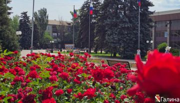 Игорь Мартынов: Доброе утро!. #НашОкруг #ЕнакиевоВобъективе #ТалантыЕнакиево