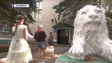 Сто килограммов макулатуры – одно спасённое дерево