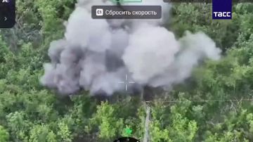 ������������ ���������� ������� ��� � ���������-���������, ����������� � �����������