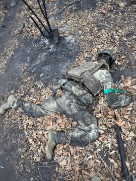 ������ �������: ������������ �� ����-�������� ����������� ������� ���������� ������������