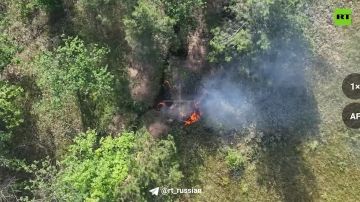 �� �� �������� ��� ������ ���������� �������������� ��� � ���