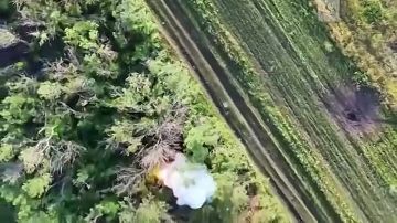 ���������� �������� ����� ���� �� �������� � ���, ������� ���� ����������� �������� ����������� ������
