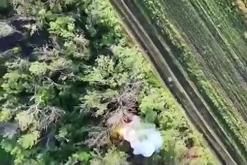 Кадры освобождения населенного пункта Шевченко в ДНР публикует министерство обороны России