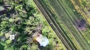 ��� ������������ �������� � ��� ���������� ������ ������� ������� ������ � �������� � �������, �������� ���������� ������