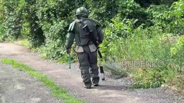 ������ �������: ���������-�������� ������������� ����������� ����� ������ �������� ������� ���������� ����� � ��������� �� ������������� �����������