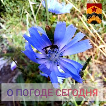 ������������� ������� � ������ � ���������� ������