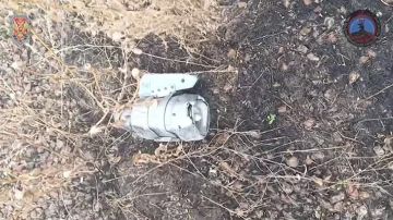 ���� � 10 ������������ ���������� ����� � ���������������� ���� � ��������