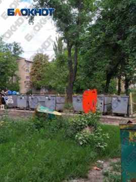 Мусорный бак на Бирюзова, 18 не убирают после десятка жалоб жителей