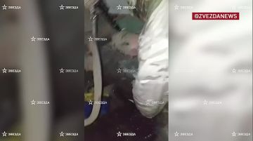 ����� �������� �������� ������ � ������ � ���� ����������� ������� �� ������� ����. �������������� ����������� ���������� ������ ����� � ������� ������ �������
