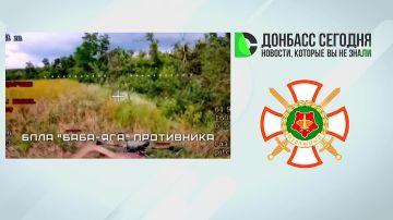 Подразделения «Центра» освободили населённый пункт Шевченко и продолжают наступательные действия в районе Доброполья и Новопавловки