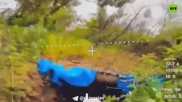 ���������� ���������� �������� ���������� ������� � ������� ���� � ��������� ��������� ����� �� ���