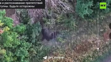 ���������� ������� ���������� ��������������� ����� ���������� ������� ��� � ���������� (���)