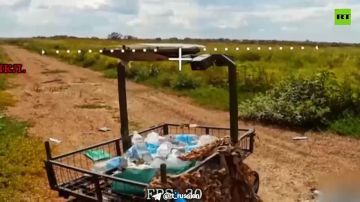 ���������� �� ��������� �� ������ �������� �� ���������� FPV-������ � ���������� (���)